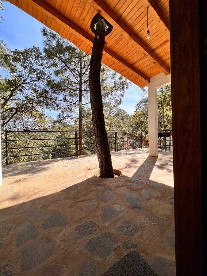 Cabana "Alexa", En El Corazon Del Bosque De Mazamitla Dış mekan fotoğraf