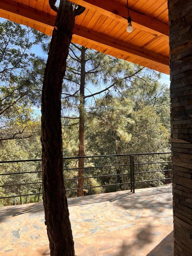 Cabana "Alexa", En El Corazon Del Bosque De Mazamitla Dış mekan fotoğraf
