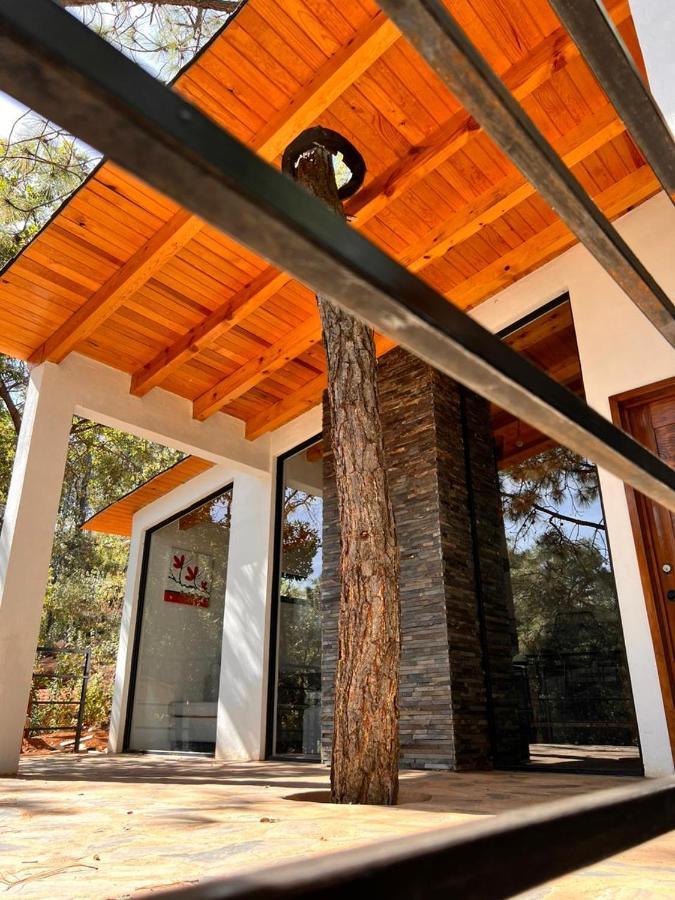 Cabana "Alexa", En El Corazon Del Bosque De Mazamitla Dış mekan fotoğraf